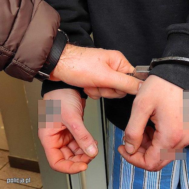 Grupa włamywaczy w rękach Legnickich policjantów